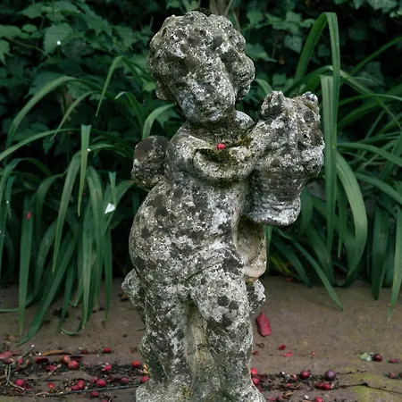 La Casa Del Ciliegio Hébergement de vacances Feltre