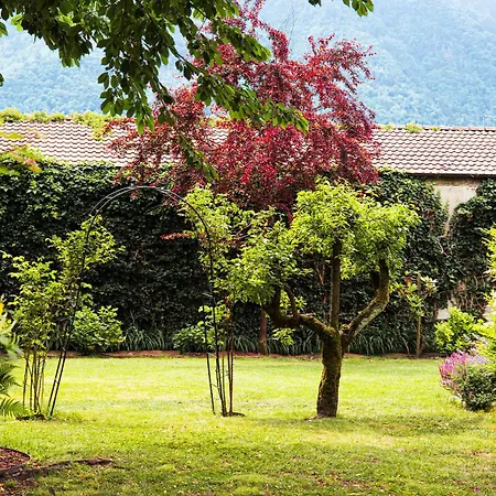 La Casa Del Ciliegio * Feltre