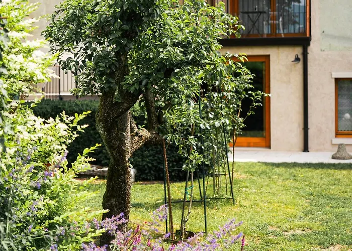 La Casa Del Ciliegio